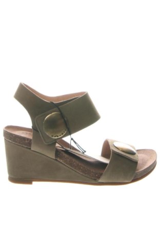 Σανδάλια Unbranded, Μέγεθος 39, Χρώμα Πράσινο, Τιμή 56,35 €, #137318601