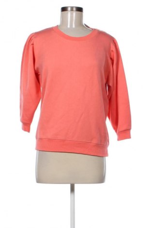 Γυναικεία μπλούζα Ana&Ava, Μέγεθος L, Χρώμα Ρόζ , Τιμή 66,99 €