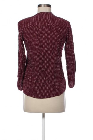 Γυναικεία μπλούζα Betty Barclay, Μέγεθος XS, Χρώμα Πολύχρωμο, Τιμή 1,99 €