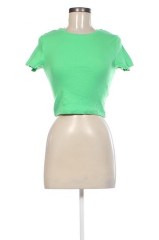 Damen Shirt FSBN Sister, Größe M, Farbe Grün, Preis 1,99 €