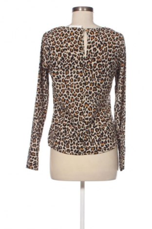 Damen Shirt Pieces, Größe XS, Farbe Mehrfarbig, Preis 2,99 €