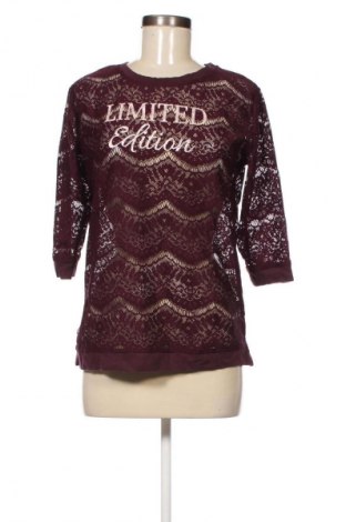 Γυναικεία μπλούζα Terranova, Μέγεθος L, Χρώμα Βιολετί, Τιμή 1,99 €