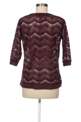 Γυναικεία μπλούζα Terranova, Μέγεθος L, Χρώμα Βιολετί, Τιμή 1,99 €