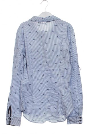 Damen Shirt Zara, Größe XS, Farbe Mehrfarbig, Preis 2,99 €