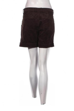 Damen Shorts Woman By Tchibo, Größe M, Farbe Braun, Preis € 3,99