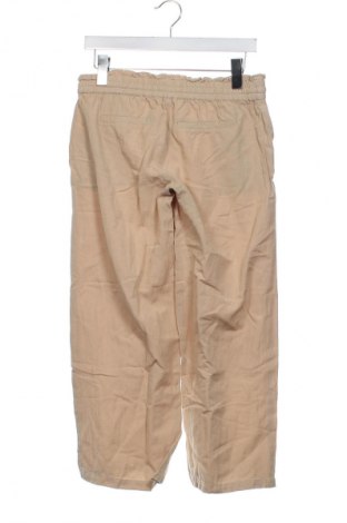 Damenhose Mamalicious, Größe XS, Farbe Braun, Preis 17,99 €