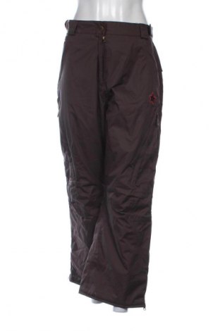 Damenhose Shamp, Größe L, Farbe Braun, Preis 2,99 €