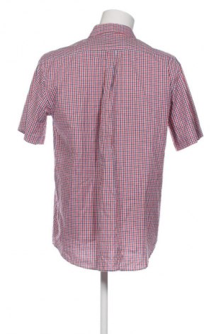 Herrenhemd Unbranded, Größe L, Farbe Mehrfarbig, Preis € 11,14