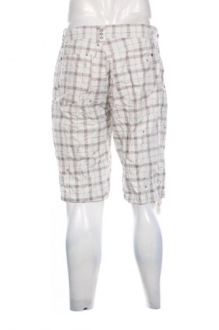 Herren Shorts 17 & Co., Größe L, Farbe Mehrfarbig, Preis € 16,99