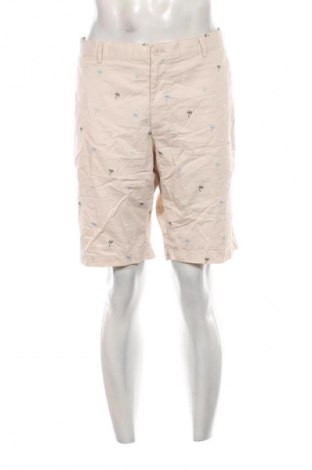 Herren Shorts H&M, Größe XL, Farbe Mehrfarbig, Preis € 7,99