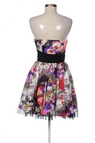 Kleid Lipsy, Größe M, Farbe Mehrfarbig, Preis 11,99 €