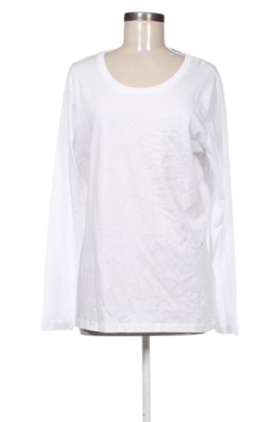 Bluzka damska B&C Collection, Rozmiar XXL, Kolor Biały, Cena 21,17 zł, #137414841