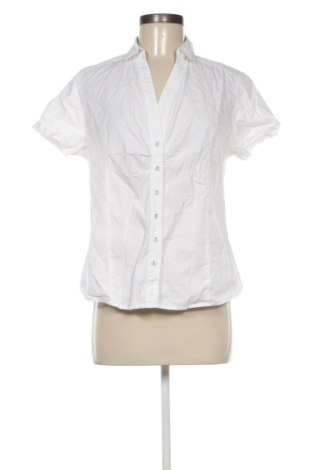 Damenbluse Gina Benotti, Größe L, Farbe Weiß, Preis 10,48 €, #137418837