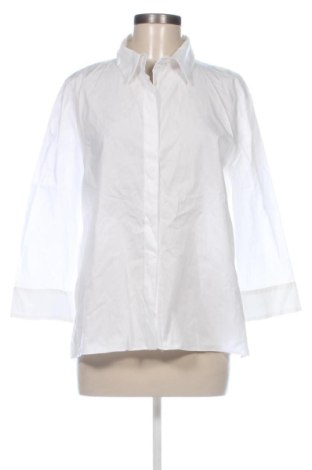 Damenbluse Zara, Größe XL, Farbe Weiß, Preis 18,00 €, #137422976