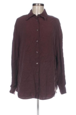 Damenbluse Zara, Größe M, Farbe Lila, Preis 12,00 €, #137423174