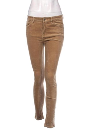 Damskie sztruksy Massimo Dutti, Rozmiar M, Kolor Beżowy, Cena 111,00 zł, #137415803