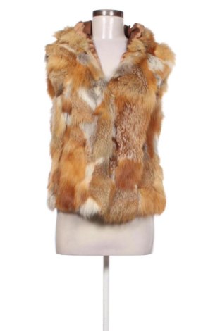 Vestă de femei Unbranded, Mărime M, Culoare Multicolor, Preț 125,98 Lei, #137429684