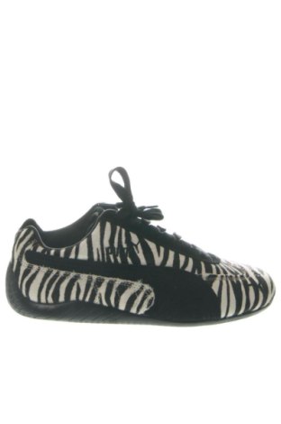Damenschuhe PUMA, Größe 39, Farbe Mehrfarbig, Preis € 107,99, #137368930