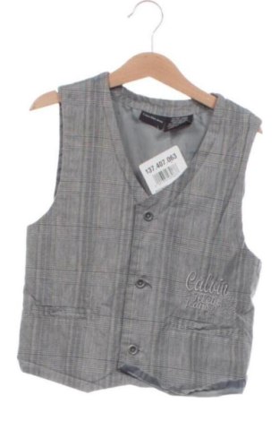 Vestă pentru copii Calvin Klein Jeans, Mărime 5-6y/ 116-122 cm, Culoare Multicolor, Preț 104,98 Lei, #137407063