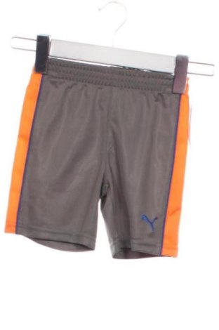 Pantaloni scurți pentru copii PUMA, Mărime 9-12m/ 74-80 cm, Culoare Gri, Preț 120,73 Lei, #137396529