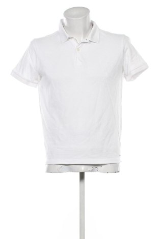Herren Shirt Massimo Dutti, Größe M, Farbe Weiß, Preis 25,00 €, #137380467