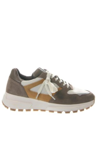 Herrenschuhe Joop!, Größe 44, Farbe Mehrfarbig, Preis € 164,99, #137369925