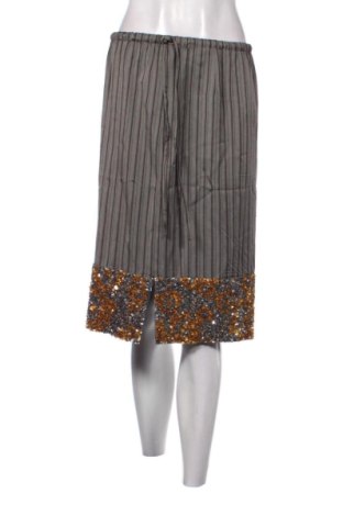 Φούστα Dries Van Noten, Μέγεθος S, Χρώμα Γκρί, Τιμή 322,05 €, #137417899