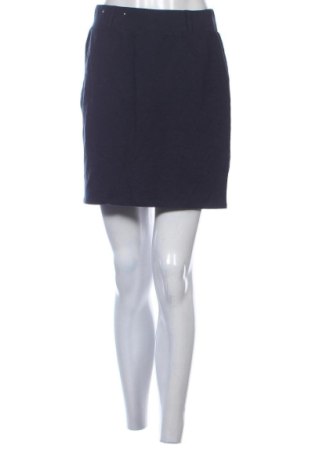 Fustă Tom & Rose, Mărime S, Culoare Albastru, Preț 58,27 Lei, #137432719