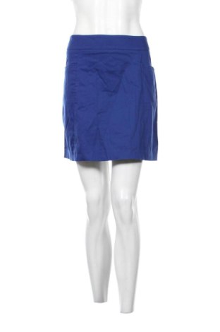 Fustă Camaieu, Mărime L, Culoare Albastru, Preț 26,04 Lei, #137433843