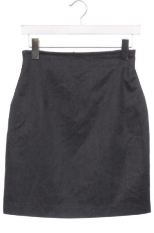 Φούστα Unbranded, Μέγεθος XS, Χρώμα Γκρί, Τιμή 3,90 €, #137423202