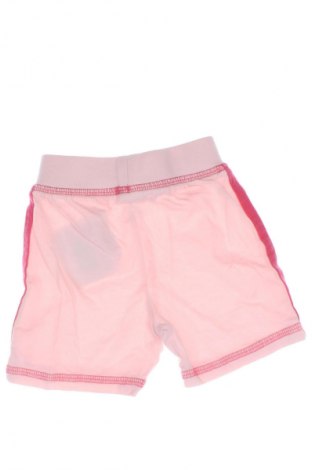 Dziecięce szorty Baby Club, Rozmiar 3-6m/ 62-68 cm, Kolor Różowy, Cena 6,99 zł