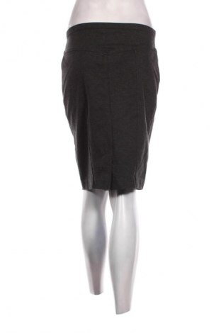Sukně Ellen Tracy, Velikost XS, Barva Šedá, Cena  79,00 Kč