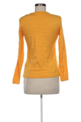 Damen Shirt Montego, Größe M, Farbe Mehrfarbig, Preis 3,99 €