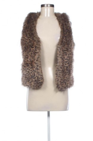 Női mellény Parisian, Méret M, Szín Sokszínű, Ár 9 576 Ft