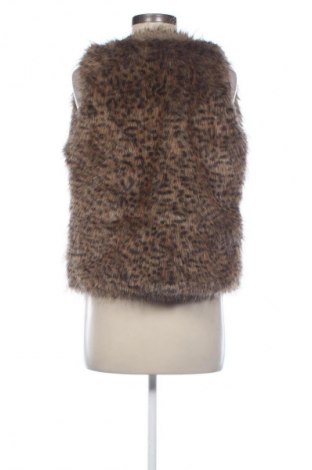 Női mellény Parisian, Méret M, Szín Sokszínű, Ár 9 576 Ft