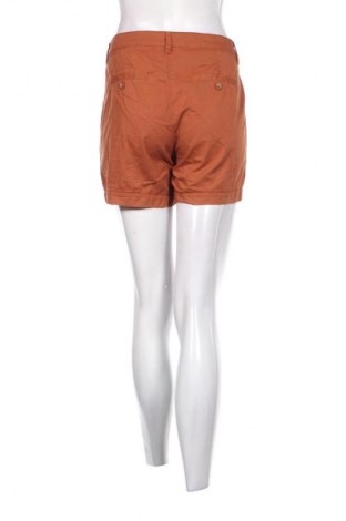Damskie szorty Colours, Rozmiar L, Kolor Brązowy, Cena 23,99 zł