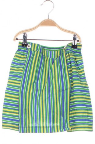 Детска пола Unbranded, Размер 4-5y/ 110-116 см, Цвят Многоцветен, Цена 2,04 €