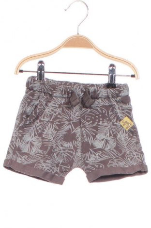 Dziecięce szorty Coolclub, Rozmiar 9-12m/ 74-80 cm, Kolor Kolorowy, Cena 6,99 zł