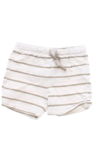 Dziecięce szorty Fred, Rozmiar 9-12m/ 74-80 cm, Kolor Kolorowy, Cena 6,99 zł