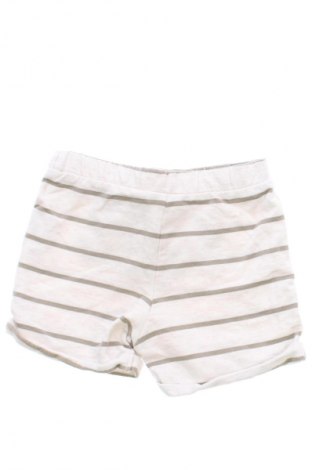 Dziecięce szorty Fred, Rozmiar 9-12m/ 74-80 cm, Kolor Kolorowy, Cena 6,99 zł