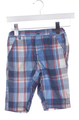 Dziecięce szorty Palomino, Rozmiar 6-7y/ 122-128 cm, Kolor Kolorowy, Cena 21,84 zł