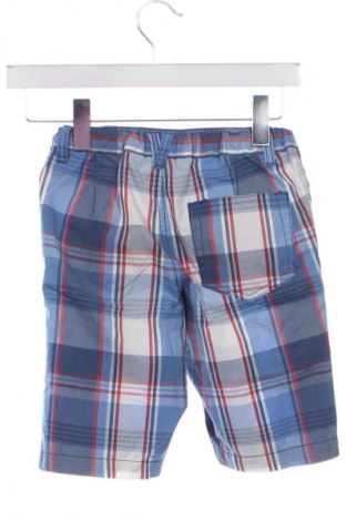 Dziecięce szorty Palomino, Rozmiar 6-7y/ 122-128 cm, Kolor Kolorowy, Cena 21,84 zł
