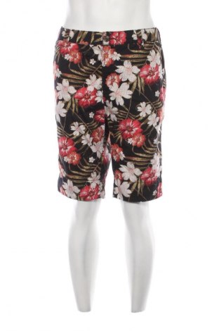 Herren Shorts CedarWood State, Größe XL, Farbe Mehrfarbig, Preis € 7,90