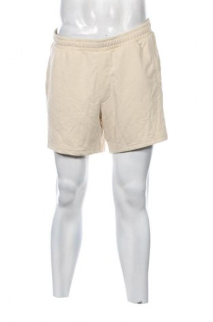 Herren Shorts Pier One, Größe L, Farbe Beige, Preis € 8,99