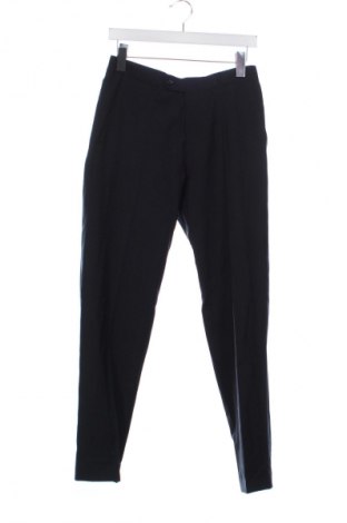 Herrenhose Carl Gross, Größe S, Farbe Blau, Preis € 2,99