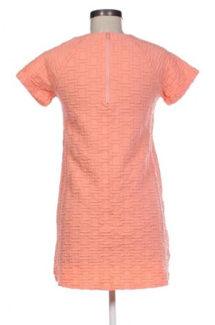 Sukienka Daily, Rozmiar S, Kolor Pomarańczowy, Cena 29,99 zł