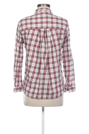 Kleid Zara Trafaluc, Größe M, Farbe Mehrfarbig, Preis 5,12 €