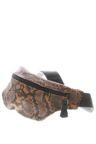 Geantă de brâu Unbranded, Culoare Multicolor, Preț 57,74 Lei, #137501228