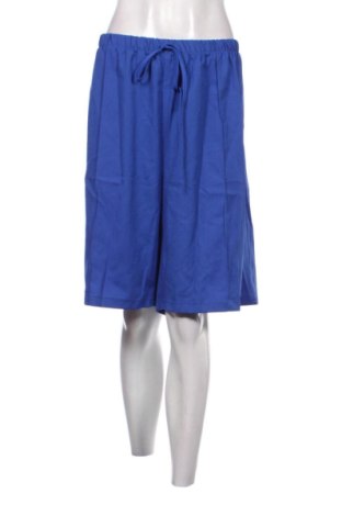 Damen Shorts Unbranded, Größe 3XL, Farbe Blau, Preis 18,48 €, #137458018