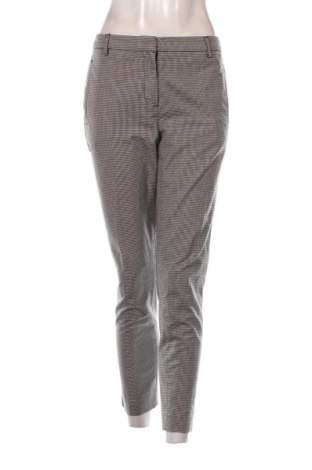 Damskie spodnie Sportscraft, Rozmiar L, Kolor Kolorowy, Cena 101,60 zł, #137478856